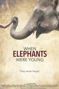 When Elephants Were Young - Poster