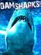 Dam Sharks!