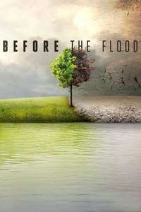 Before the Flood - Posters
