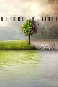 Before the Flood - Posters
