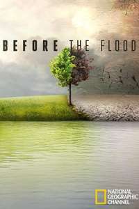 Before the Flood - Posters