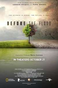 Before the Flood - Posters