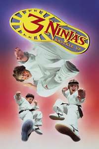 3 Ninjas Knuckle Up - Poster