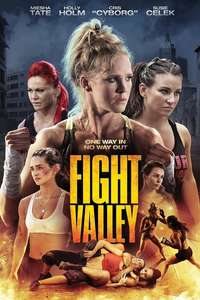 Fight Valley - Poster