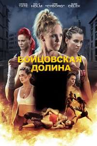 Fight Valley - Poster