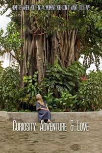 Curiosity  Adventure and Love - Poster