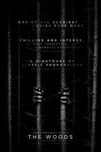 Blair Witch - Poster