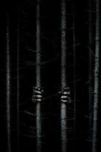 Blair Witch - Poster