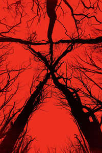 Blair Witch - Poster