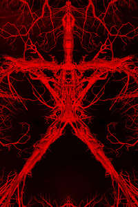 Blair Witch - Poster