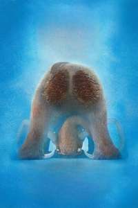 Ice Age: Collision Course - Posters