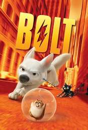 Bolt