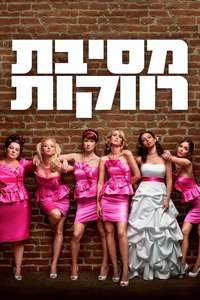 Bridesmaids - Posters