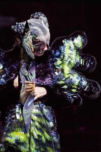Björk - Vulnicura Live - Poster