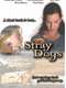 Stray Dogs