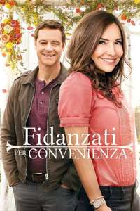 The Convenient Groom - Poster