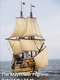 The Mayflower Pilgrims: Behind The Myth