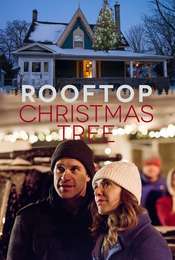 The Rooftop Christmas Tree