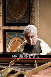 Mr Bernstein - Poster