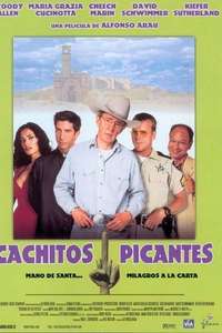 Picking Up the Pieces - Poster