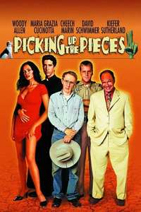 Picking Up the Pieces - Poster