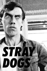 Stray Dogs - Poster