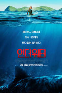 The Shallows - Poster