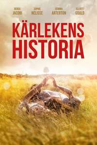 The History of Love - Poster