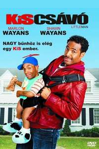 Little Man - Posters