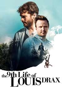 The 9th Life of Louis Drax - Poster