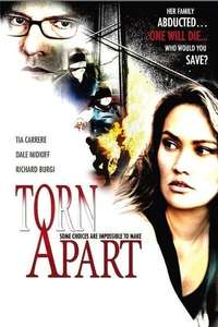 Torn Apart - Poster