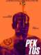 Pektus