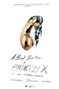A Brief History of Princess X - Posters