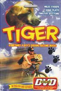 Tiger - Poster