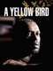 A Yellow Bird