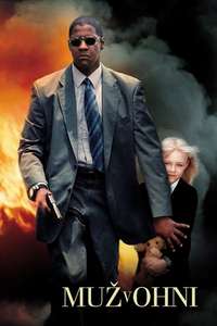 Man on Fire - Poster