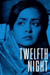 Twelfth Night  or What You Will