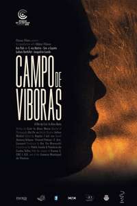 Campo de víboras - Poster