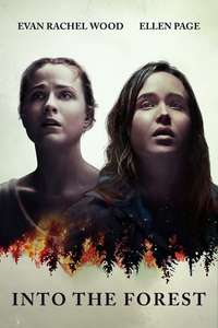 Into the Forest - Poster