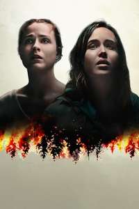Into the Forest - Poster
