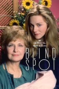 Blind Spot - Poster