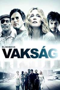 Blindness - Poster
