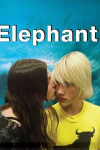 Elephant - Posters