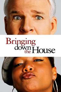 Bringing Down the House - Poster