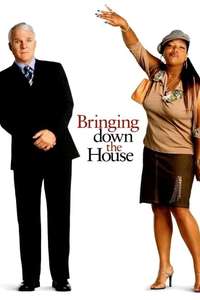 Bringing Down the House - Poster