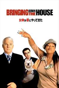 Bringing Down the House - Poster