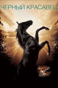 Black Beauty - Poster