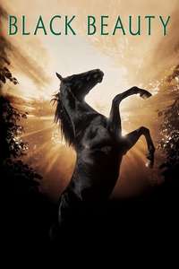 Black Beauty - Poster