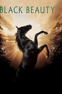Black Beauty - Poster