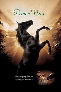 Black Beauty - Poster
